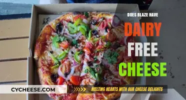 Blaze's Dairy-Free Cheese: What You Need to Know