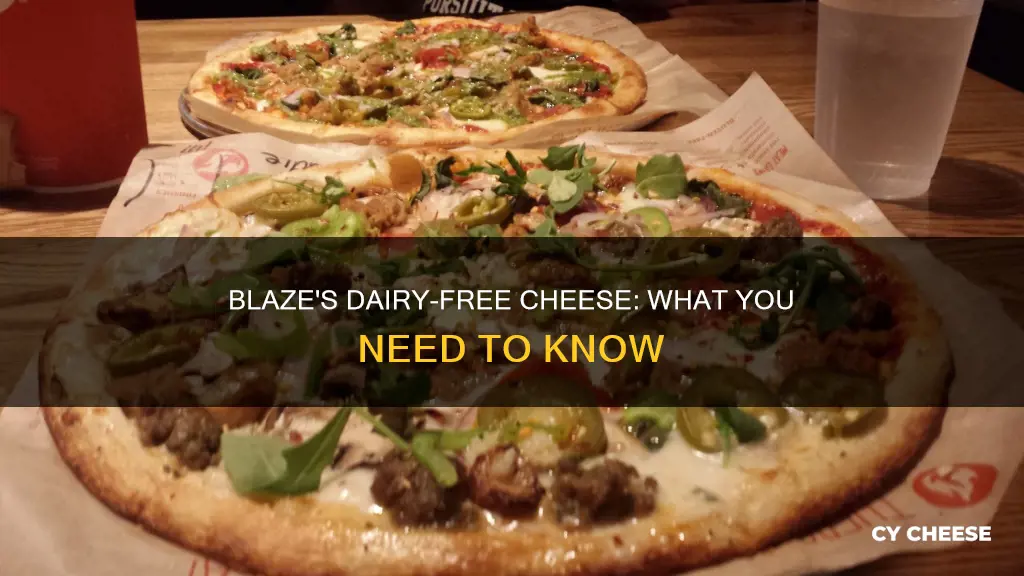 does blaze have dairy free cheese