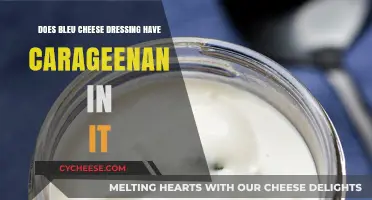 Does Bleu Cheese Dressing Contain Carrageenan? A Detailed Look