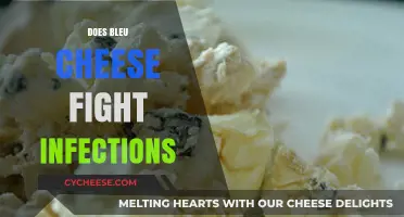 Blue Cheese's Surprising Antibacterial Properties: Can It Fight Infections?