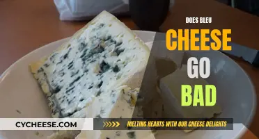 Bleu Cheese: How Long Does It Last?