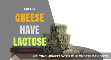 Does Blue Cheese Have Lactose? Unraveling the Dairy Dilemma