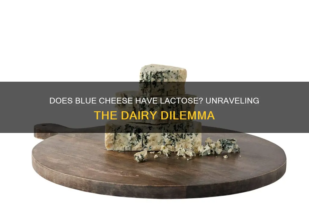 does bleu cheese have lactose