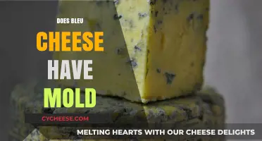 Is Blue Cheese Moldy? Uncovering the Truth Behind Its Unique Veins