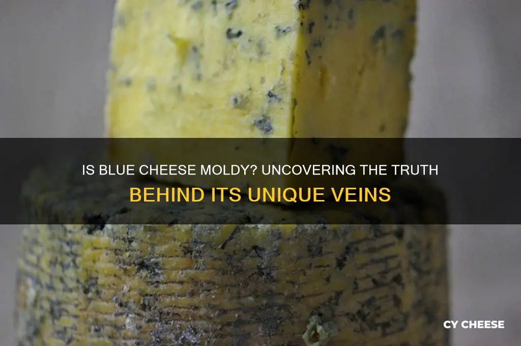 does bleu cheese have mold