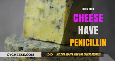 Does Blue Cheese Contain Penicillin? Unraveling the Moldy Mystery
