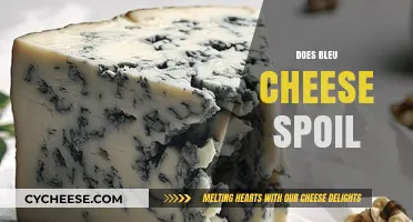 Does Bleu Cheese Spoil? Understanding Shelf Life and Safety Tips