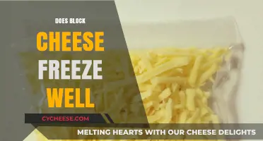 Can You Freeze Block Cheese? Tips for Preserving Freshness