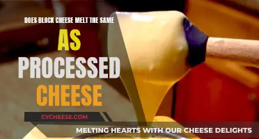 Cheese Melt-Off: Block vs Processed Cheese