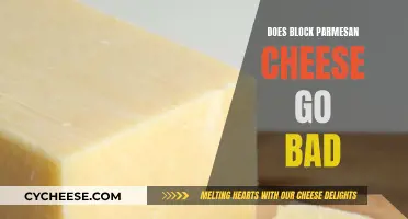 Block Parmesan Cheese: How Long Does it Last?