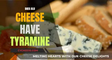 Blu Cheese and Tyramine: What's the Connection?