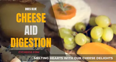 Blue Cheese: Friend or Foe to Digestion?