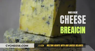 Blue Cheese Unveiled: The Science Behind Its Veins