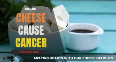 Blue Cheese and Cancer: Is There a Link?