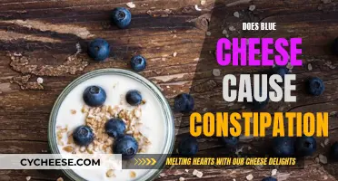 Blue Cheese and Constipation: Is There a Link?