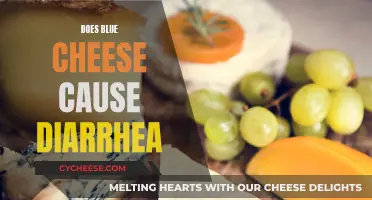 Blue Cheese and Diarrhea: Is There a Link?