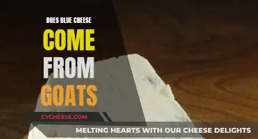 Goat Cheese and Blue Cheese: What's the Connection?