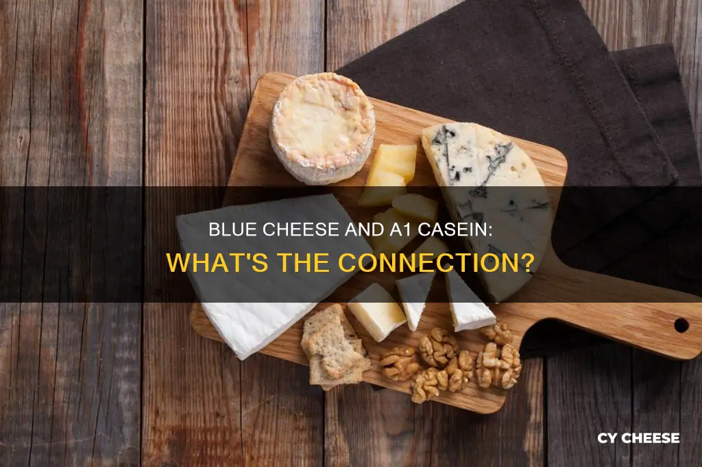 does blue cheese contain a1 casein