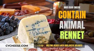 Blue Cheese and Animal Rennet: What's the Connection?