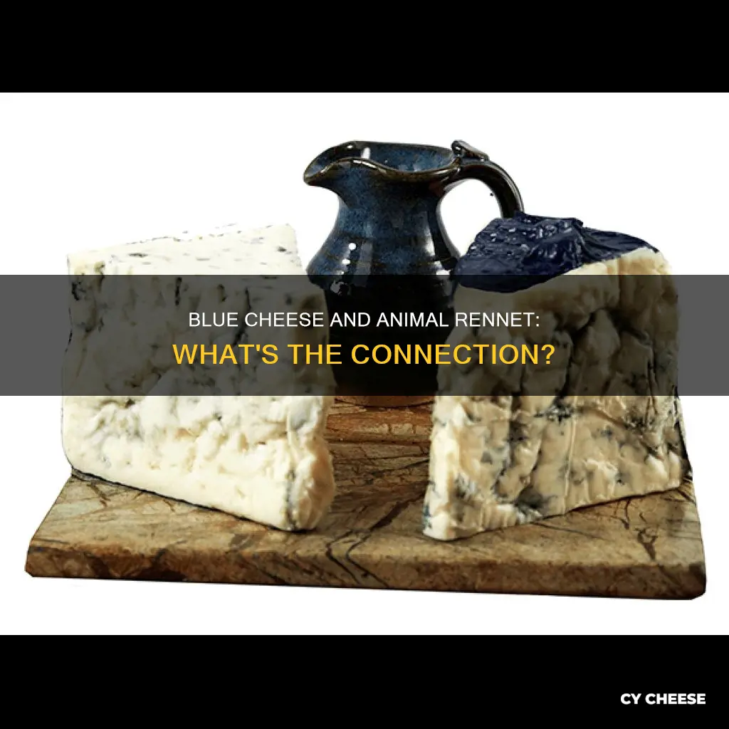 does blue cheese contain animal rennet