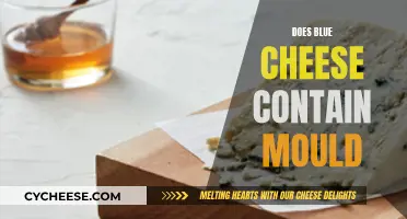 Blue Cheese and Mold: What's the Connection?