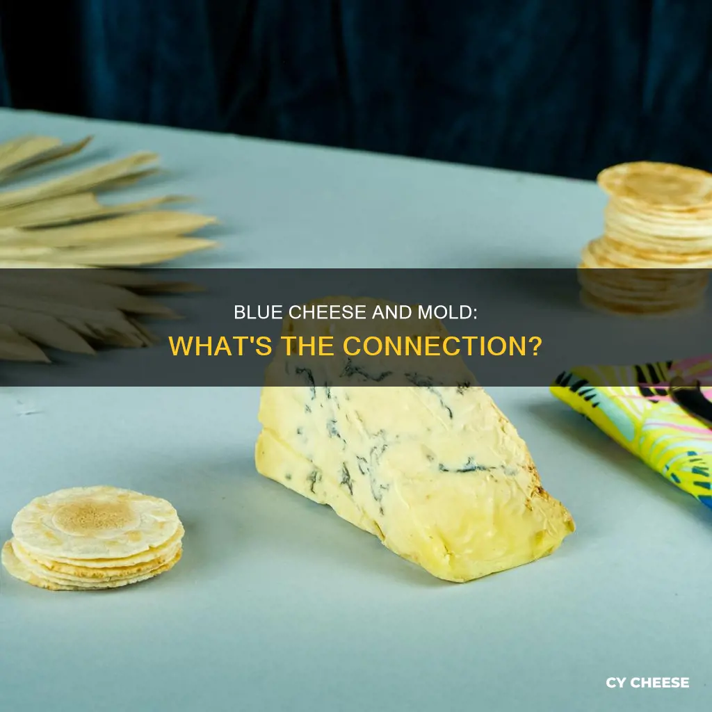does blue cheese contain mould