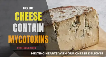 Blue Cheese and Mycotoxins: A Tasty but Toxic Combination?