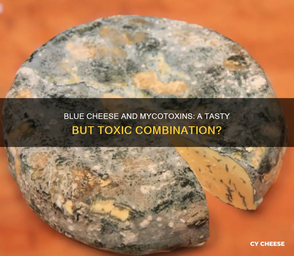 does blue cheese contain mycotoxins
