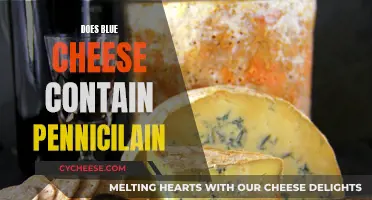 Blue Cheese and Penicillin: What's the Connection?