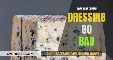 Blue Cheese Dressing: How Long Does It Last?