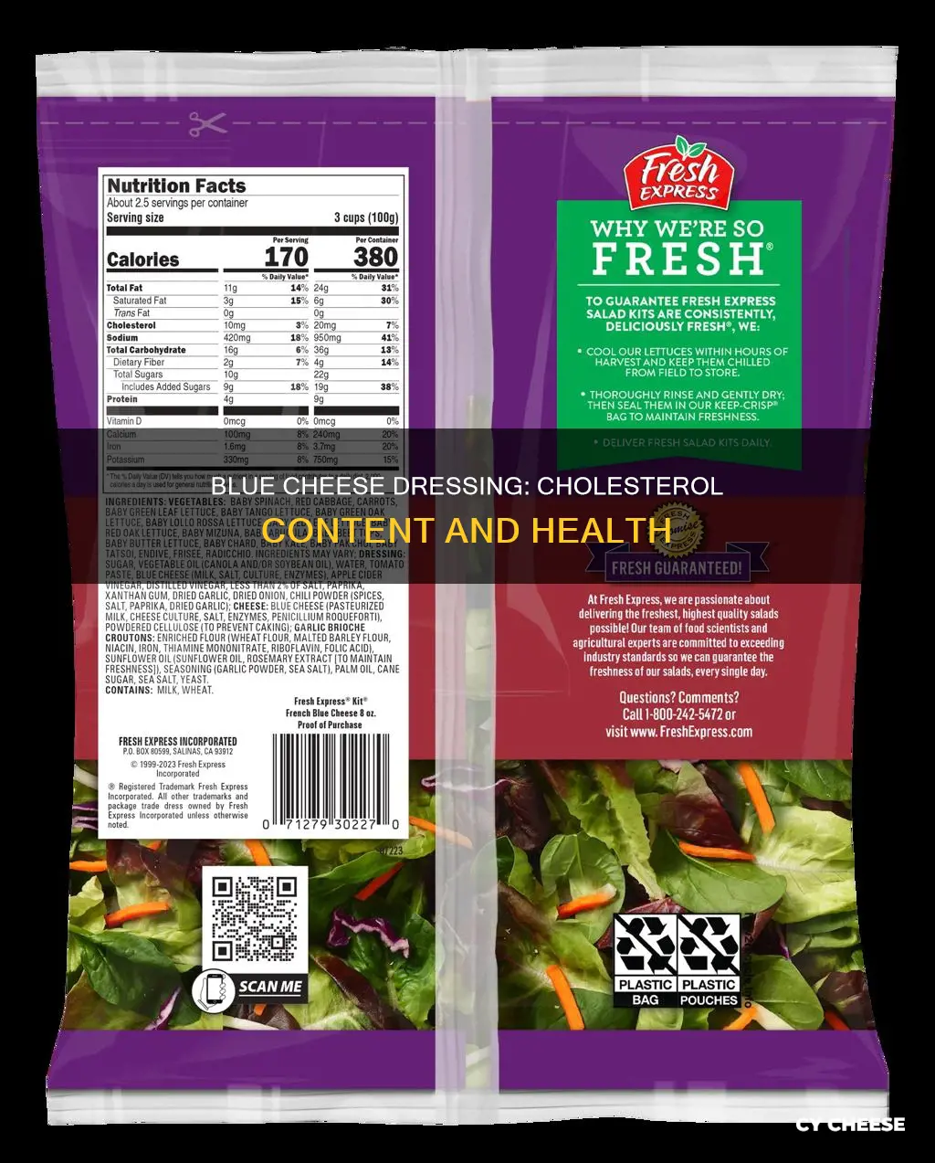 does blue cheese dressing have cholesterol