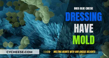 Blue Cheese Dressing: Is That Mold?
