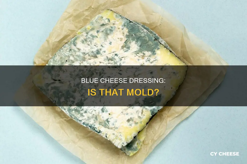 does blue cheese dressing have mold
