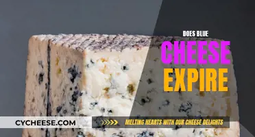 Blue Cheese: Expiry and Shelf Life Explained