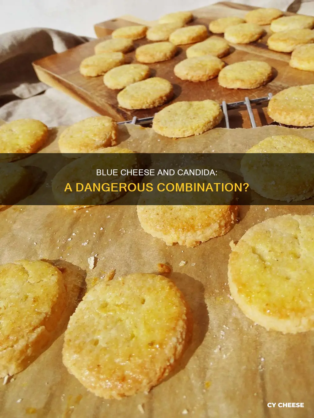 does blue cheese feed candida