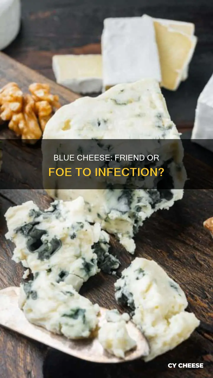does blue cheese fight infection
