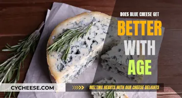 Blue Cheese: Aging for Better Taste and Texture