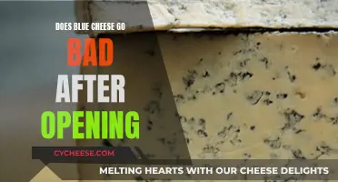 Blue Cheese: How Long Does It Last?