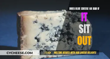 Blue Cheese Left Out: Does It Go Bad?