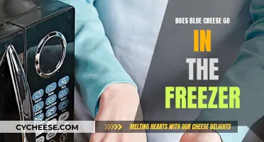 Freezing Blue Cheese: Is It Worth It?