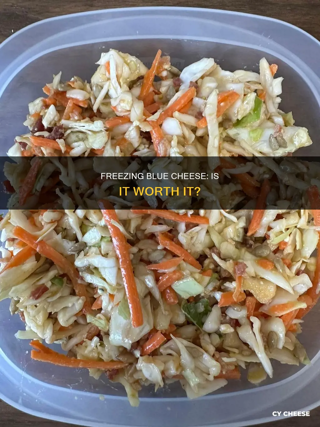 does blue cheese go in the freezer