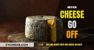 Blue Cheese: Can It Go Bad and How to Store It