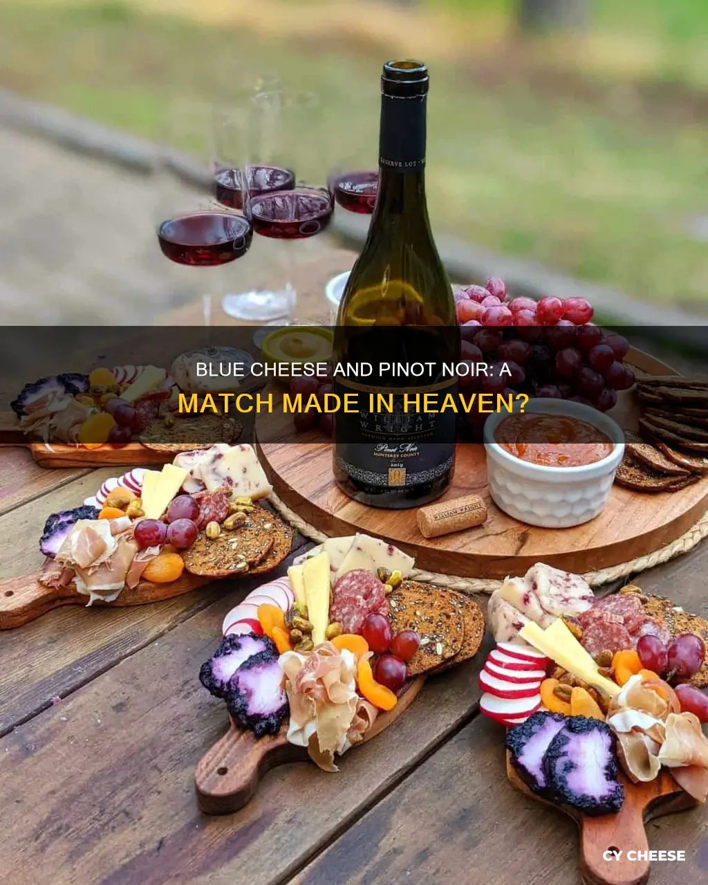 does blue cheese go with pinot noir