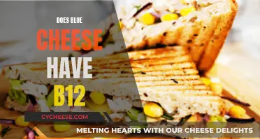 Blue Cheese and B12: A Nutritional Powerhouse?