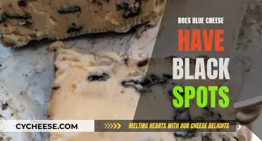 Blue Cheese Black Spots: What's the Mystery?