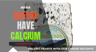 Blue Cheese Calcium Content: What You Need to Know