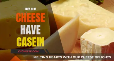 Blue Cheese and Casein: What's the Connection?