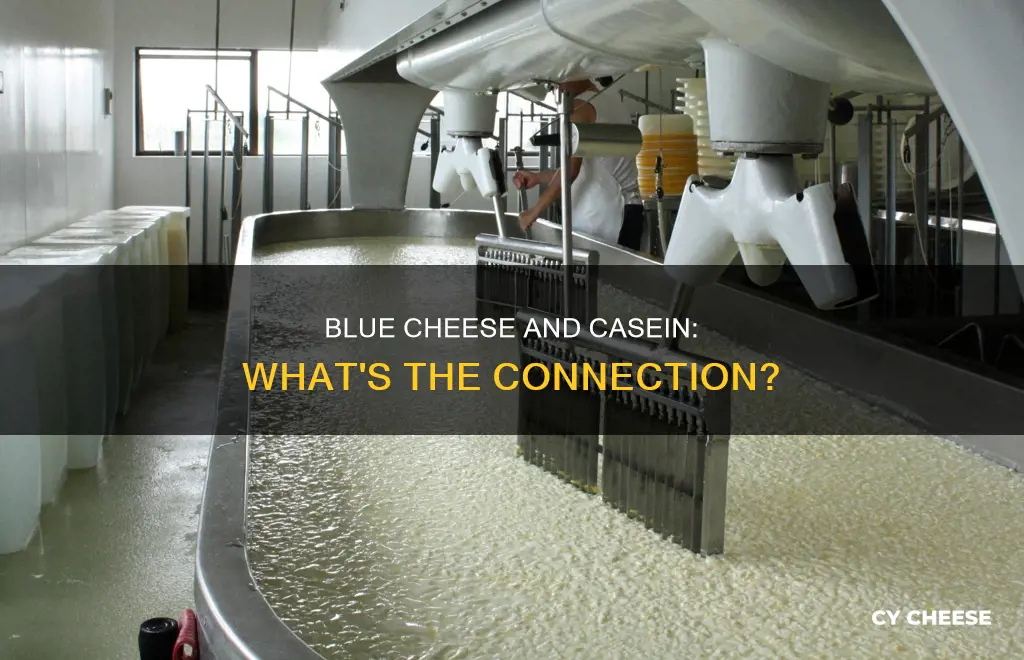 does blue cheese have casein