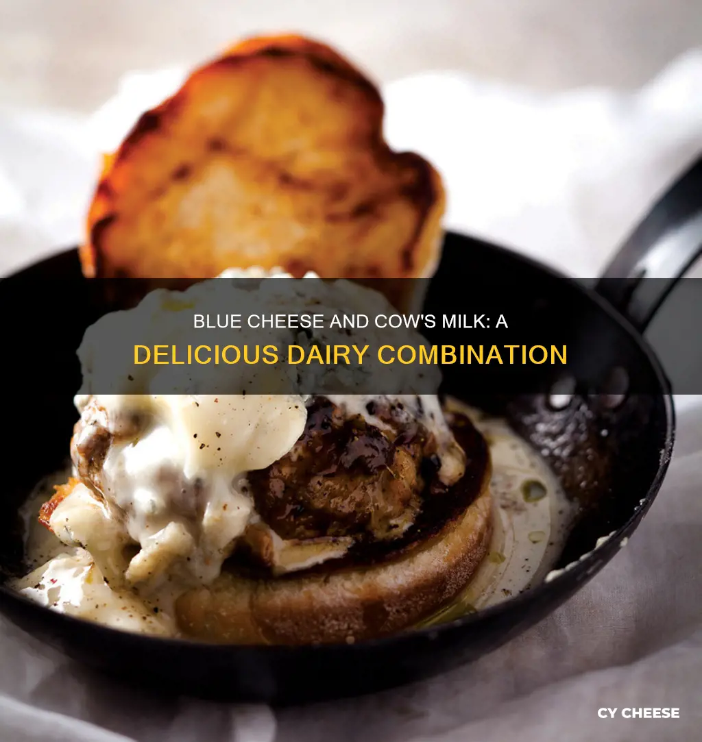 does blue cheese have cows milk