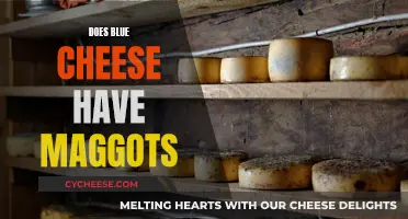 The Truth About Blue Cheese and Its Maggots